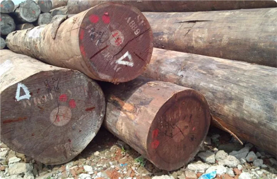 菲律宾警方破获两起非法砍伐案，木材价值高达百万