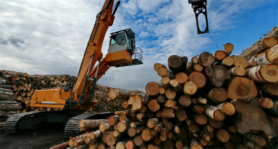 俄罗斯向中国提供了69%的针叶木材