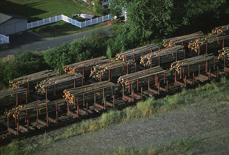 俄罗斯公司仍正常向土耳其和伊朗等国出口木材