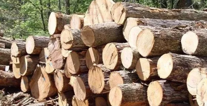 预计2020年芬兰的锯木产量将下降到1030万立方米