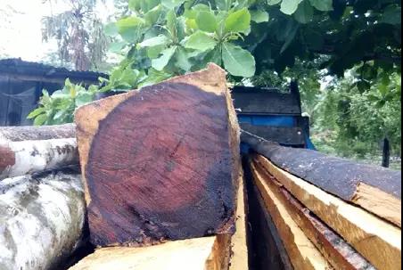 什么是“南美酸枝”？