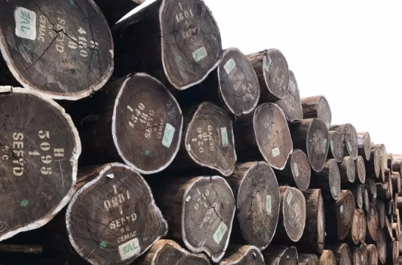 2019年美国进口非洲锯材概况