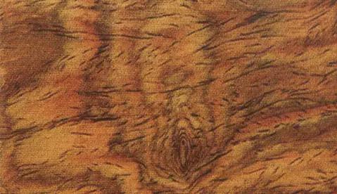 浅谈十三种名贵木材