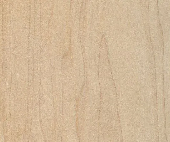 硬枫木市场热度较高