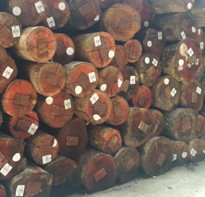 2019年，中国原木市场行情回顾