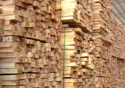 橡胶木市场未来可期