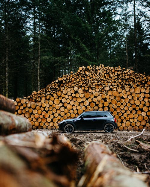 红檀香量增价涨