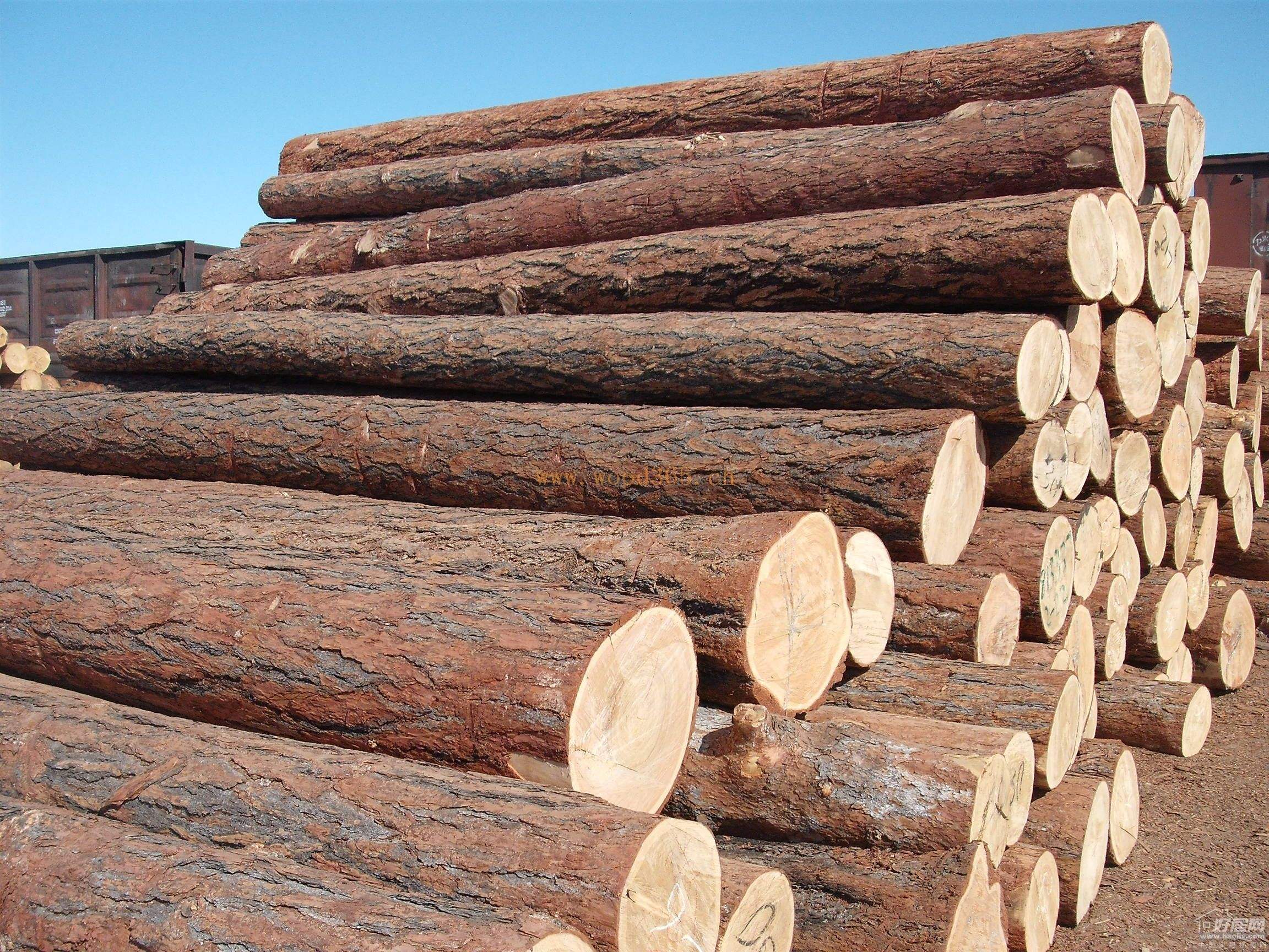 奥地利锯材出口大幅下降